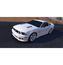 Ford Mustang GT 2005 with Saleen bodykit